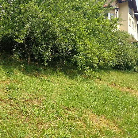 Apartman Aora *