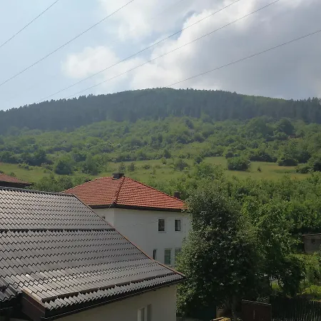 Aora